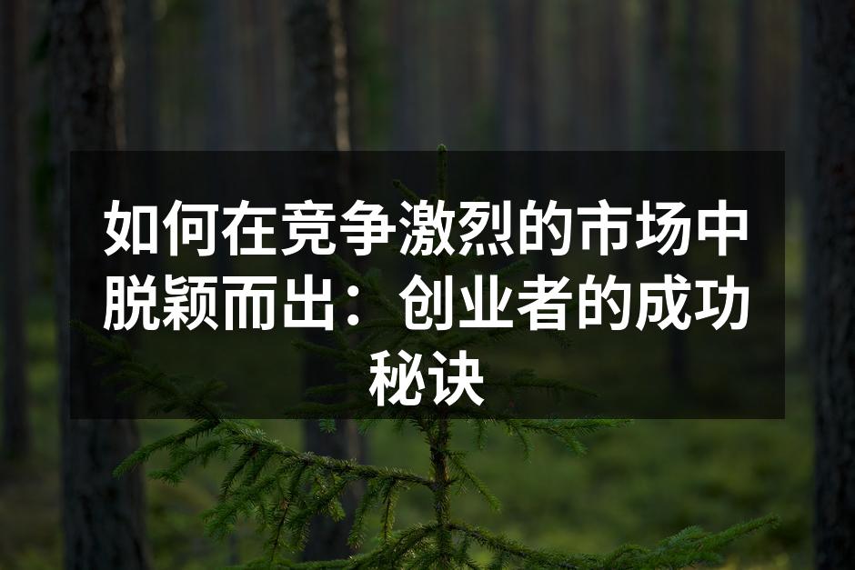 如何在竞争激烈的市场中脱颖而出：创业者的成功秘诀