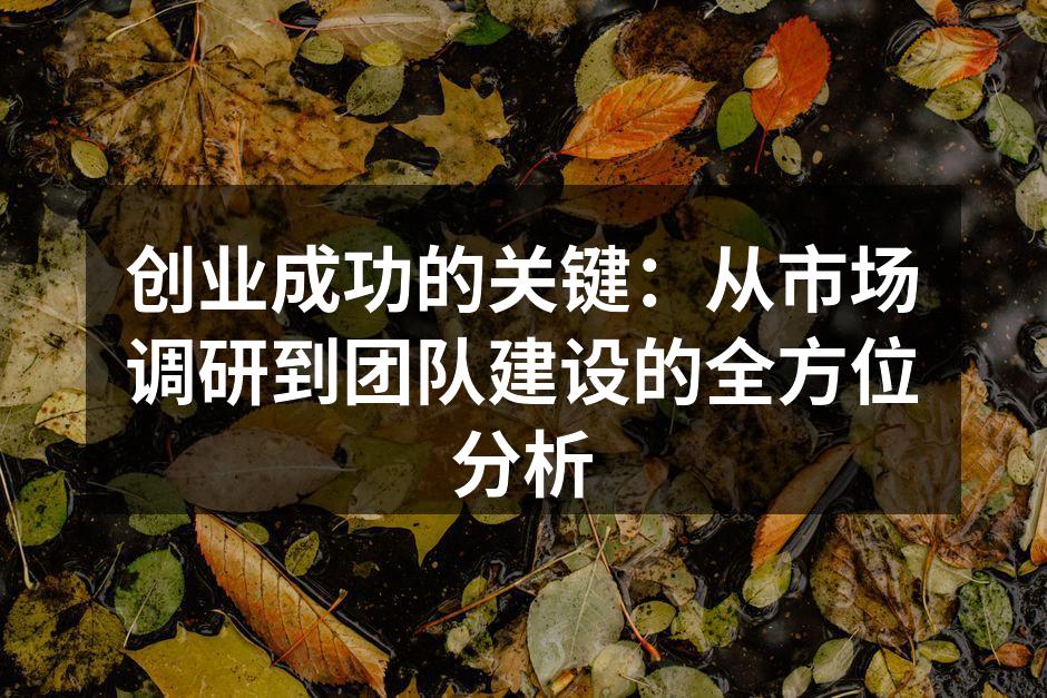 创业成功的关键：从市场调研到团队建设的全方位分析